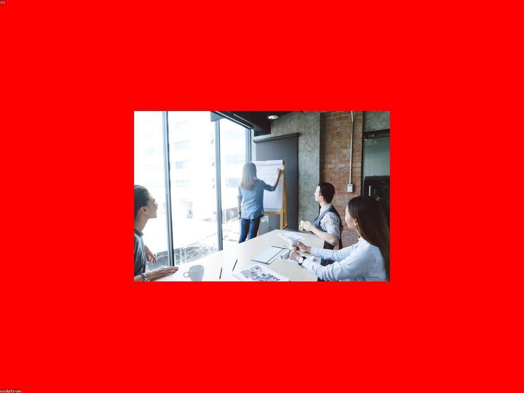 គន្លឹះជោគជ័យ៖ ការបង្កើតចិត្តវិជ្ជាជីវៈសម្រាប់ជោគជ័យ