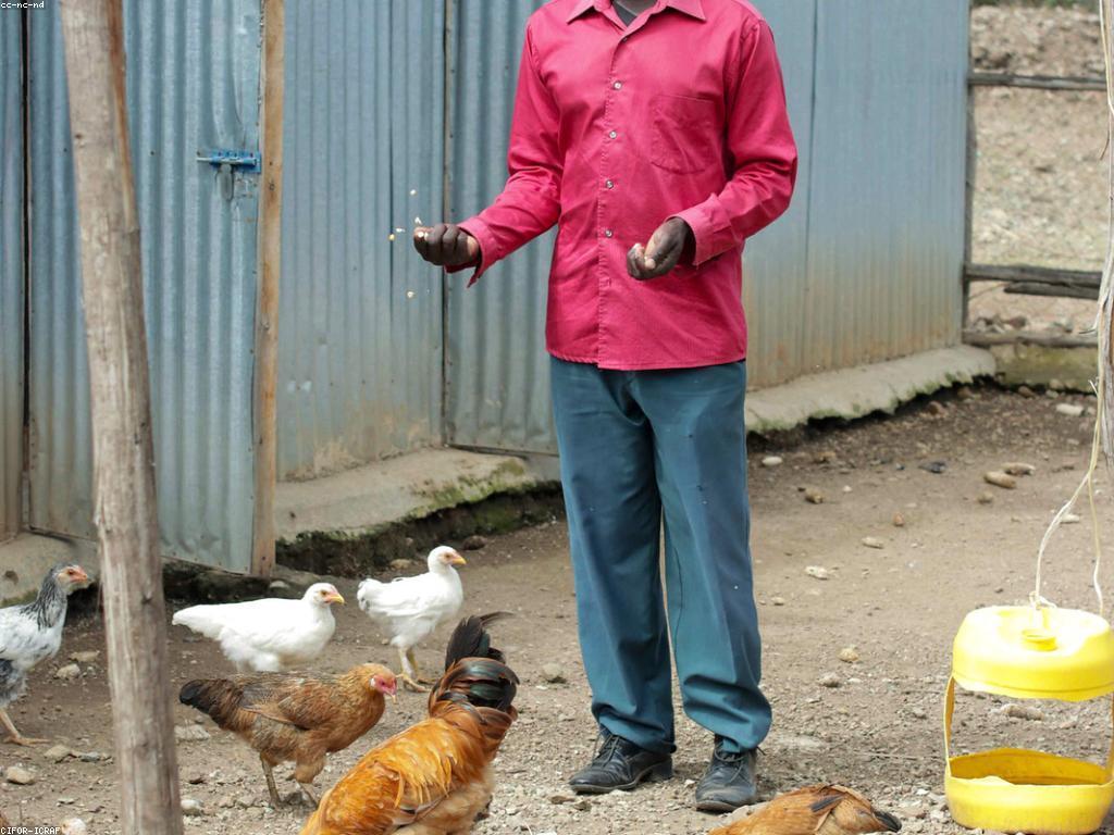 ផលប៉ះពាល់នៃព័ត៌មានព្រឹត្តិការណ៍ក្នុងការអភិវឌ្ឍន៍ការទំនាក់ទំនង