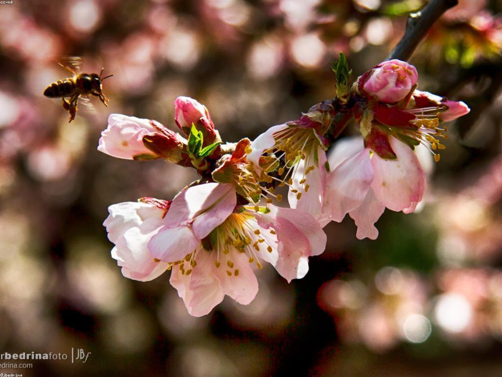 ការវិភាគលទ្ធផល: គន្លឹះដើម្បីជោគជ័យ