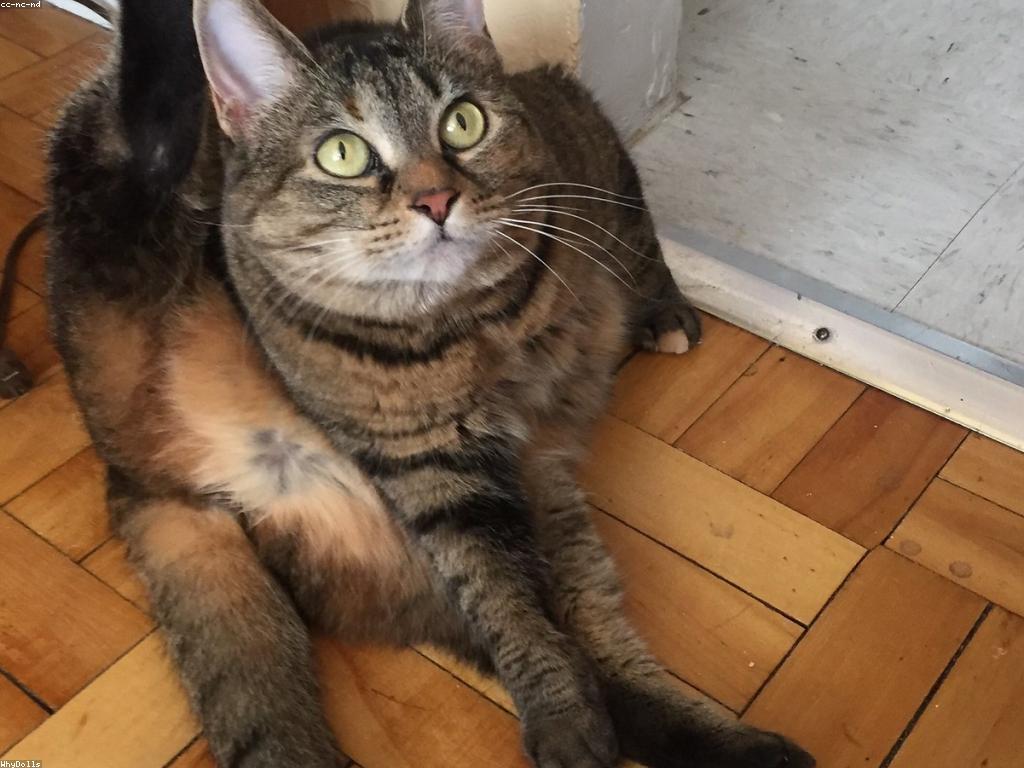 ព័ត៌មានព្រឹត្តិការណ៍ថ្មីៗ